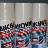 Touch Up Spray Paint 300G
