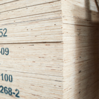 PLYWOOD