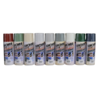 Touch Up Spray Paint 300G