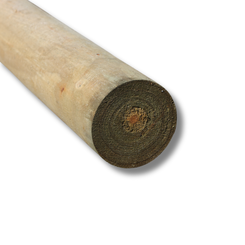Treated Pine Poles
