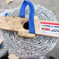 Barbed Wire 'Barra'