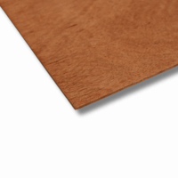 Bracing Plywood Hardwood F22/27 4mm