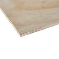 CD Non Structural Plywood | 2400 x 1200mm