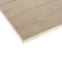 17mm CD Structural Plywood | 2400 x 1200mm